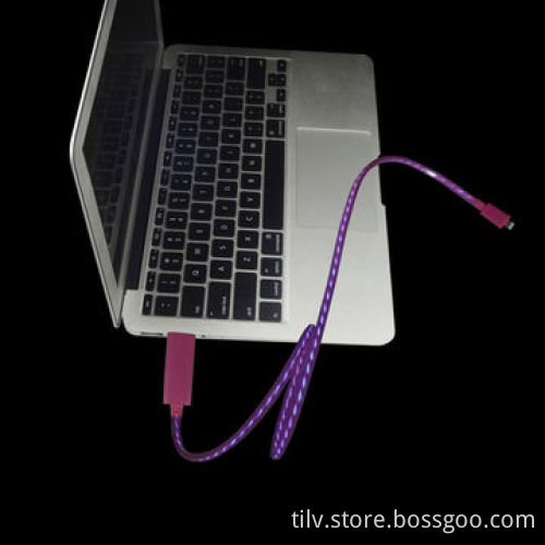EL Light UP USB Cable for iPad Mini/4